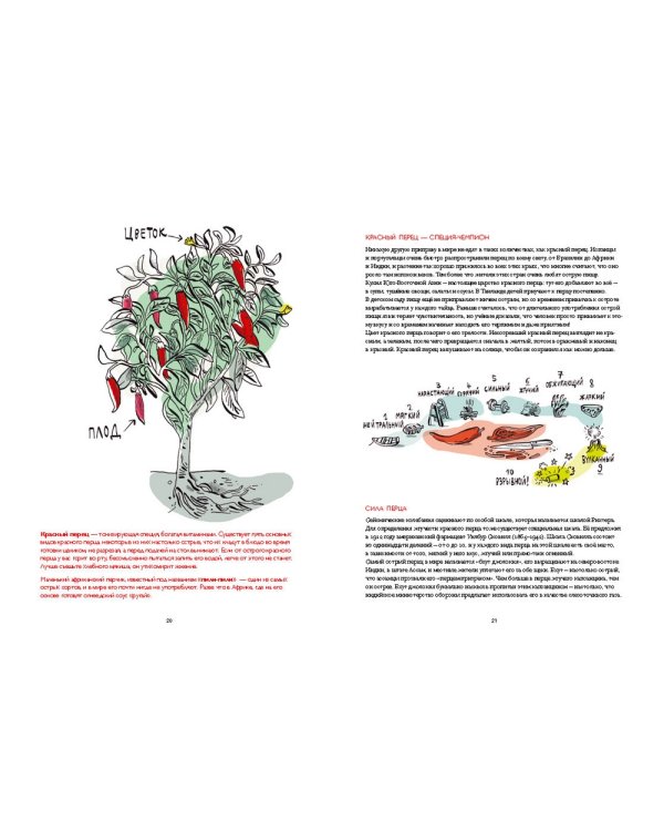 Вкусная история.Путешествие фруктов и пряностей из далёких стран