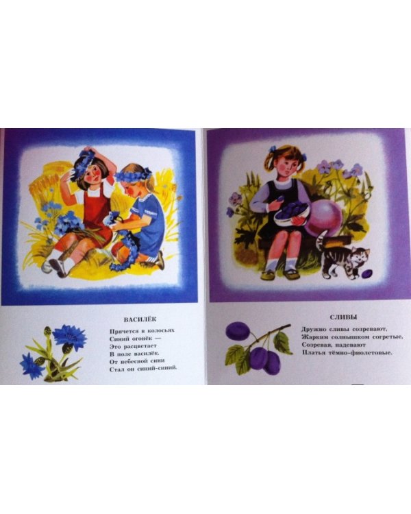 Краски радуги