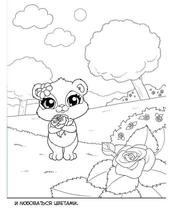 Маджики.Неразлучные друзья (лес).Умная раскраска