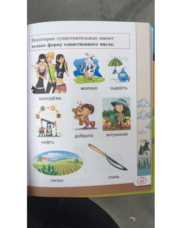 Все правила русского языка в картинках, схемах и таблицах