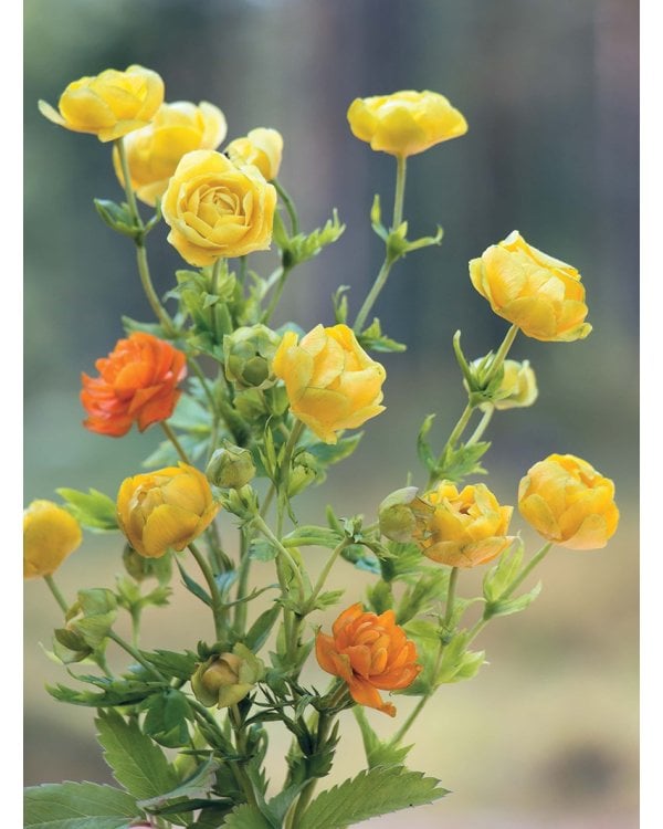 Весенние цветы из полимерной глины.Поробные мастер-классы