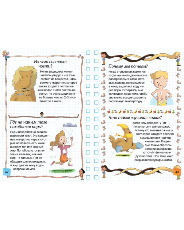 Тело человека