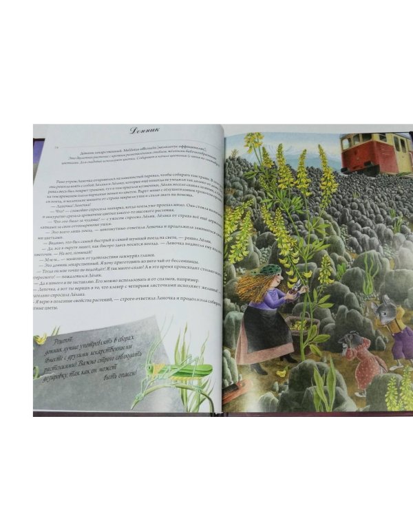 Волшебная книга полезных трав