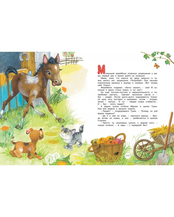 Мамины любимчики