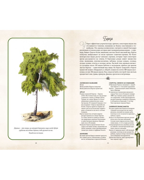 Тайный язык деревьев