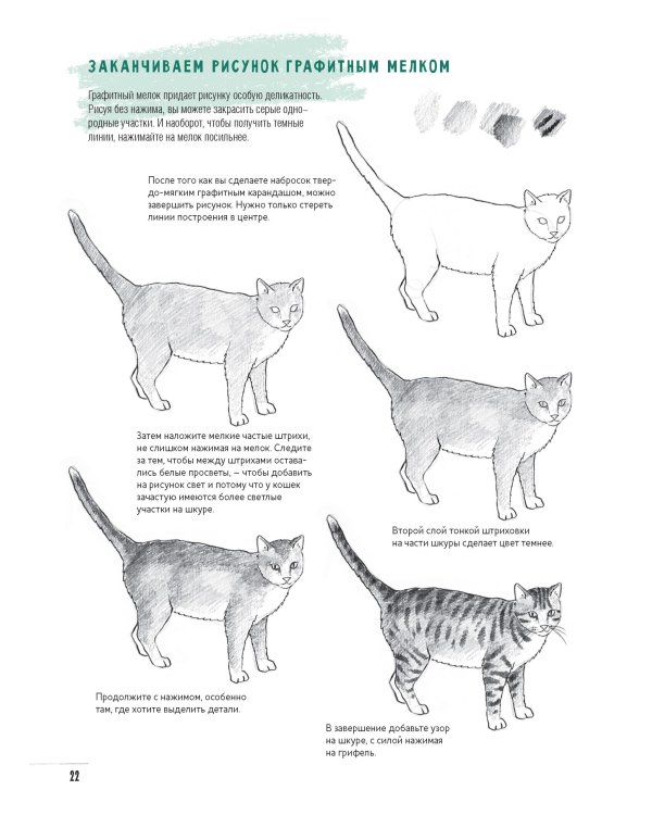 Создаем наброски животных и птиц шаг за шагом:50 проектов с подроб.объяснениями