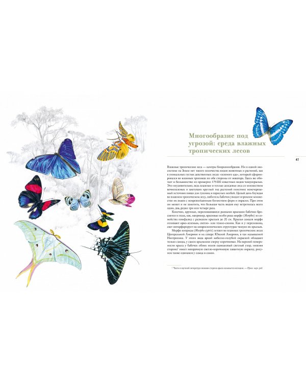 Бабочки. Основы систематики, среда обитания, жизненный цикл и магия совершенства