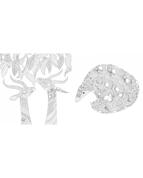 Божественные создания. Золотая коллекция любимых иллюстраций