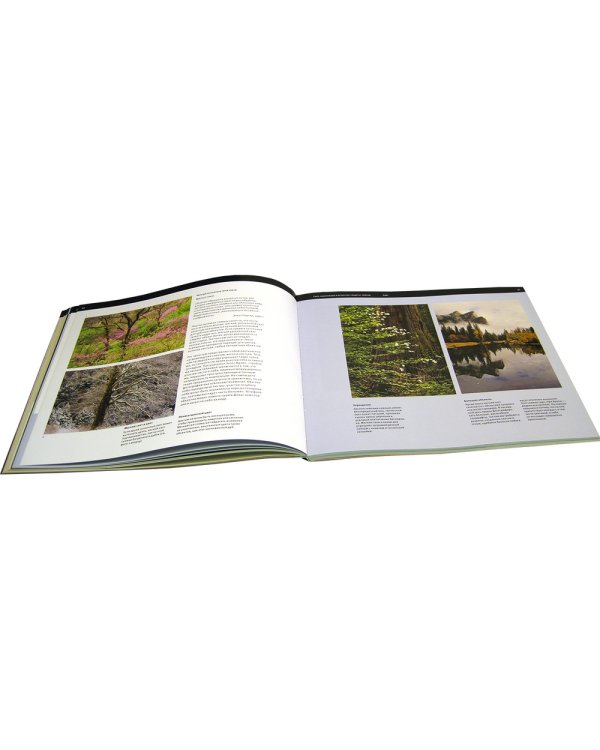 Искусство цифровой пейзажной фотографии. Художественные и технические приемы