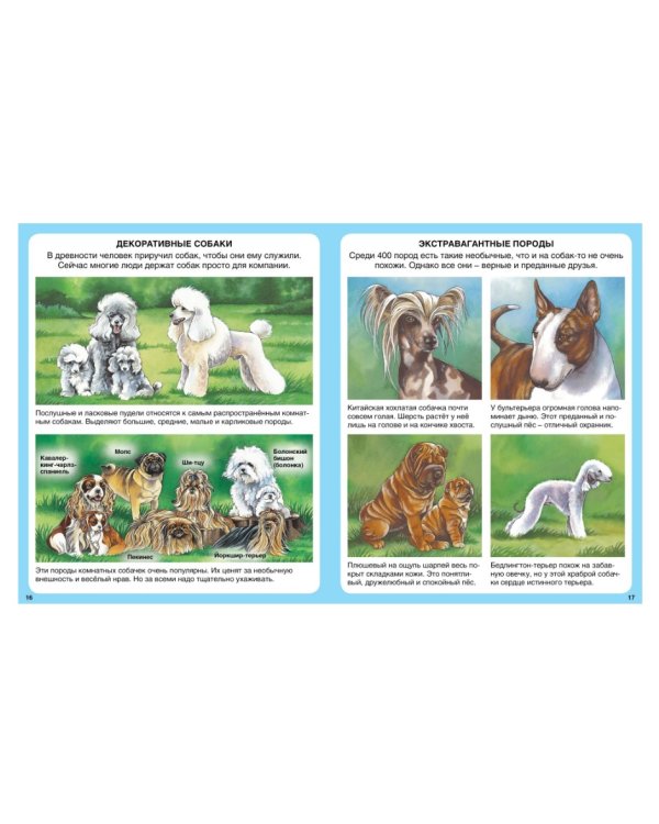 Домашние питомцы