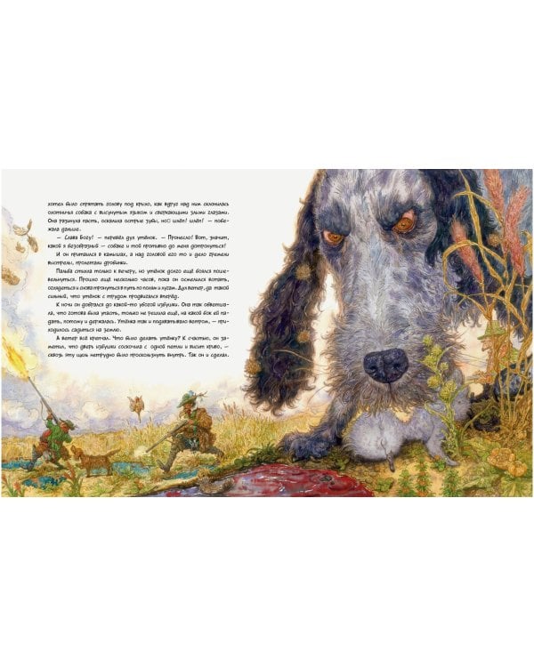 Гадкий утенок (иллюстр Ломаева А.)