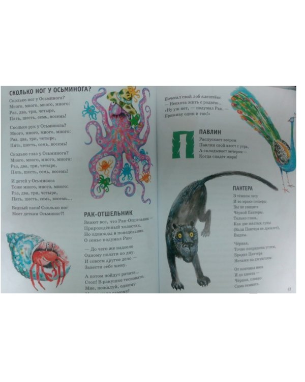 Забавная зоология