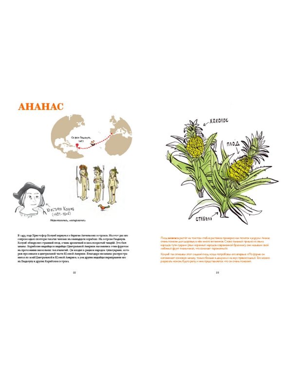 Вкусная история.Путешествие фруктов и пряностей из далёких стран