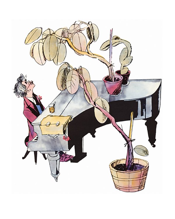 Что любит Мишка