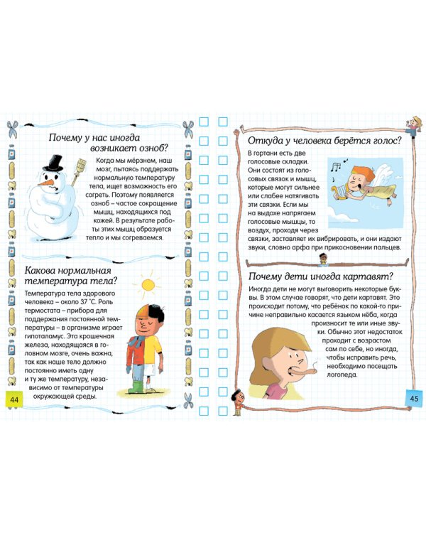 Тело человека