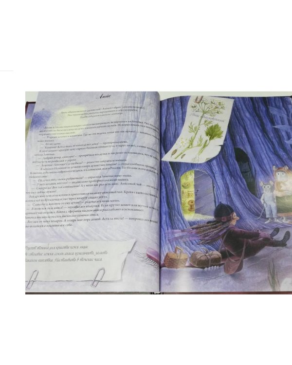 Волшебная книга полезных трав