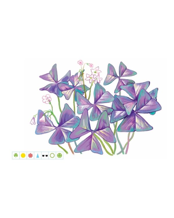 Комнатные растения и модели ухода за ними.Картотека предметных картин.3-7л.