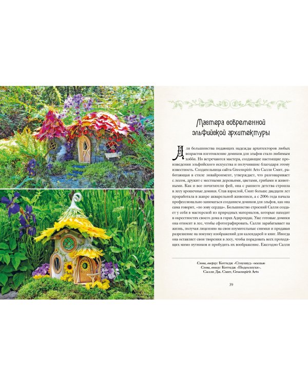 Книга Фей. Волшебный путеводитель по страницам фолиантов, глубинам тайных знаний и вершинам изящных искусств