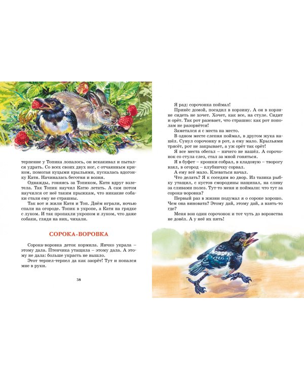 Лесные тайнички