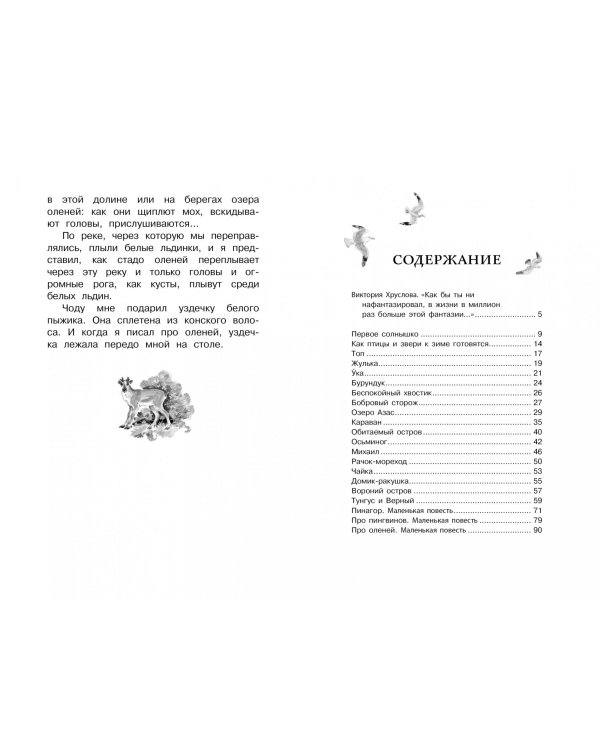 Беспокойный хвостик