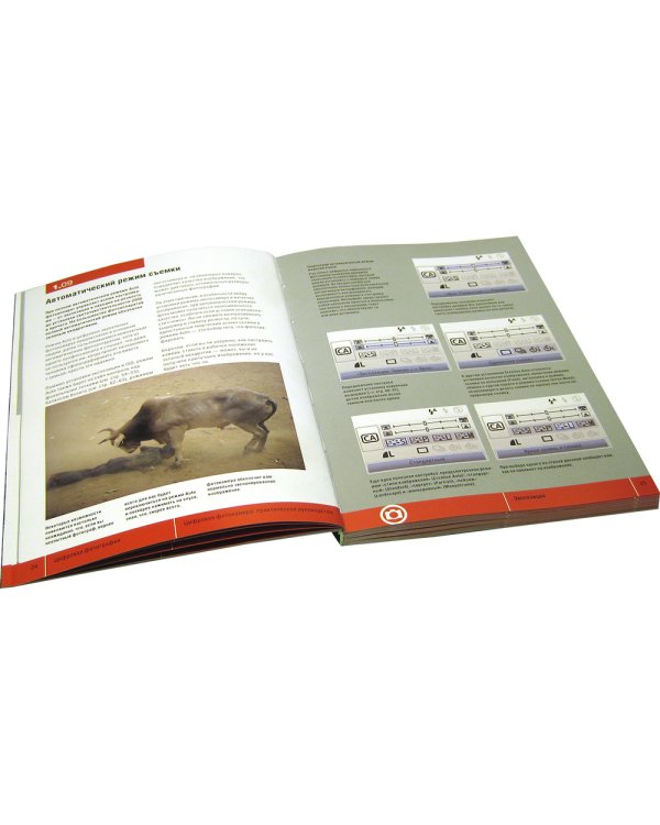 Цифровая фотография: инструменты мастера. Все, что вам нужно, чтобы делать отличные фотографии - в одном чемоданчике (комплект книг с диском в чемоданчике) (+ CD-ROM; количество томов: 6)