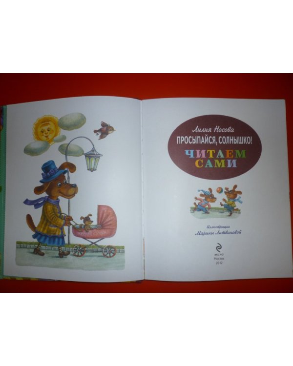 Просыпайся, солнышко! / 