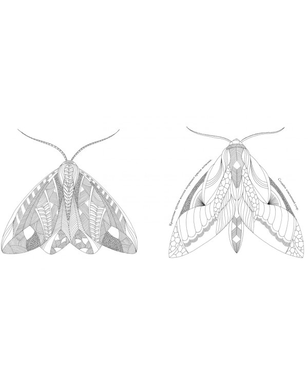 В царстве животных. Книга для творчества и вдохновения