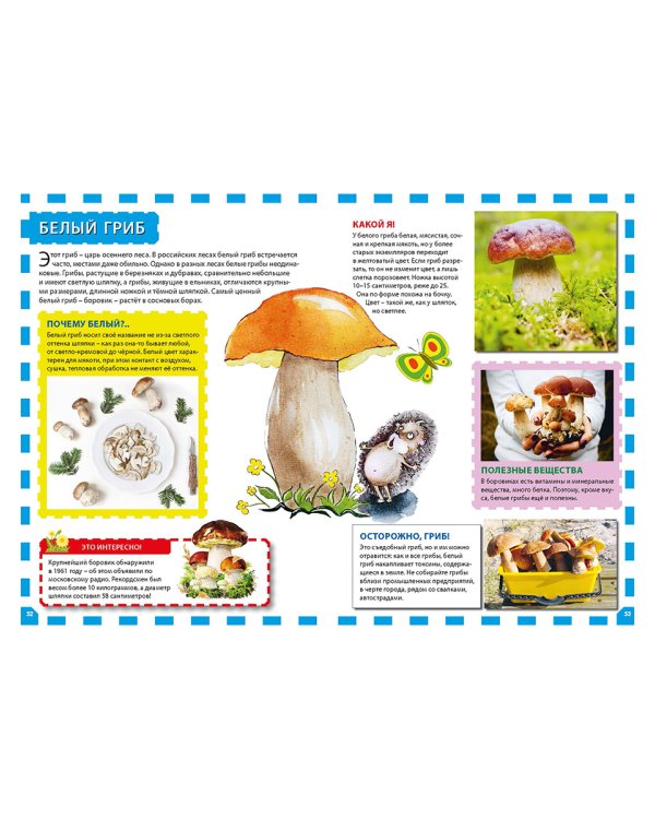 Растения России. Энциклопедия для детей