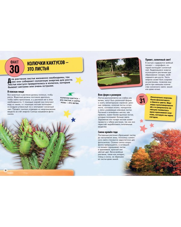 Всё об окружающем мире с научной точки зрения