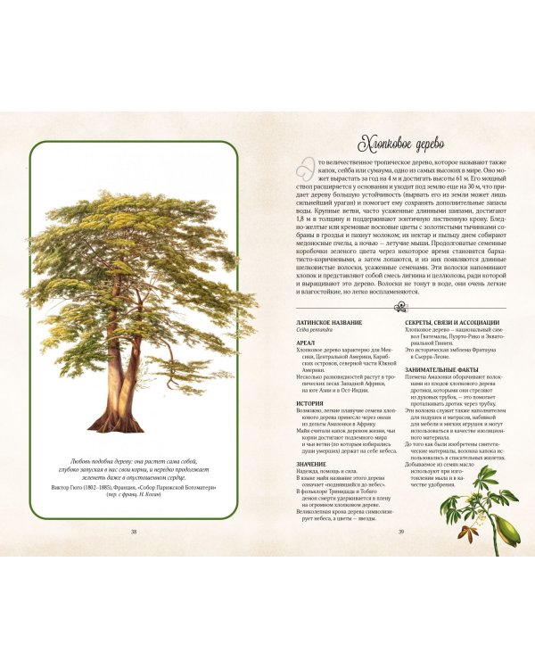 Тайный язык деревьев