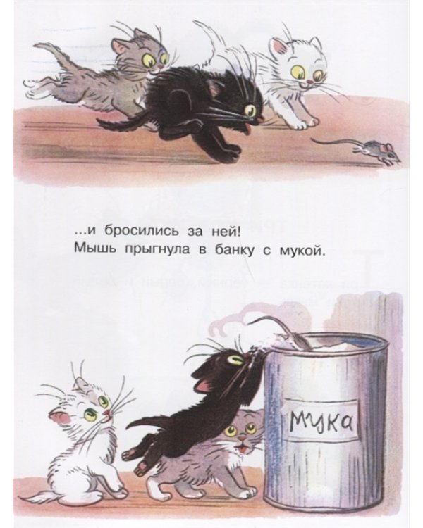 Самая лучшая книга в рисунках В. Сутеева