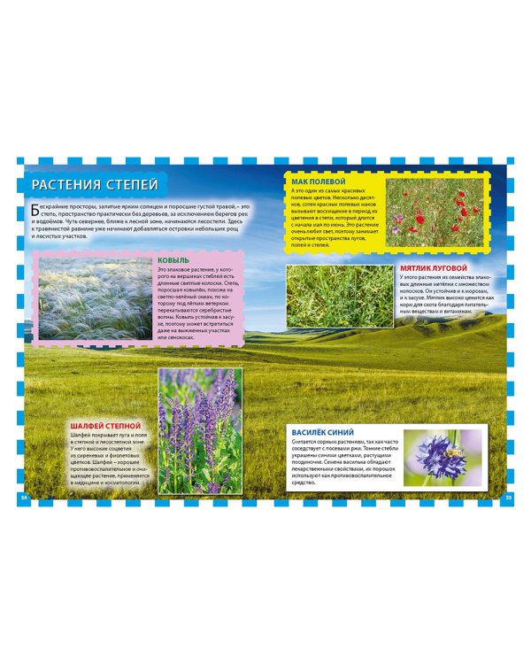 Растения России. Энциклопедия для детей