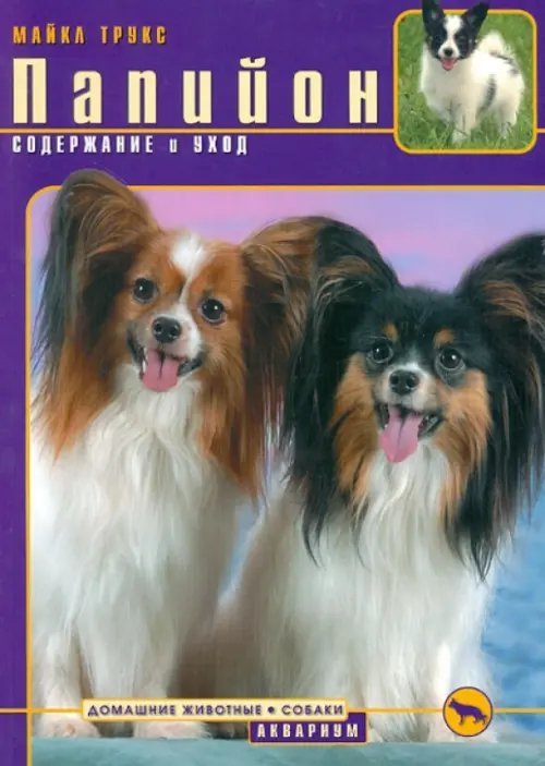 Папийон. Содержание и уход