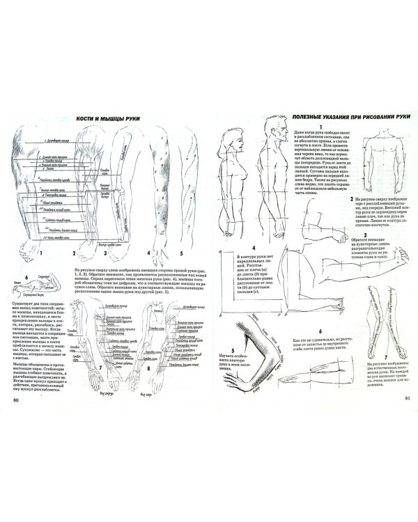 Как рисовать голову и фигуру человека