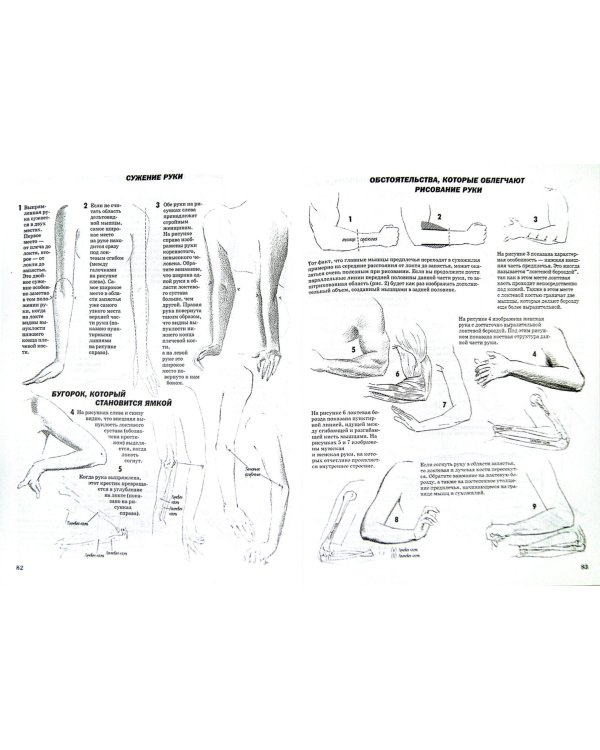 Как рисовать голову и фигуру человека