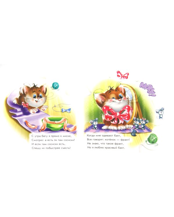 Все про котёнка