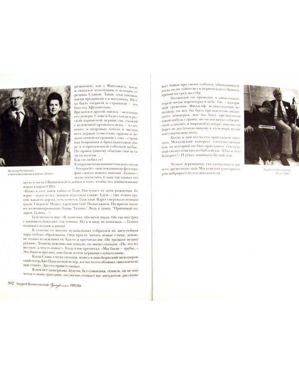 Прожилки прозы