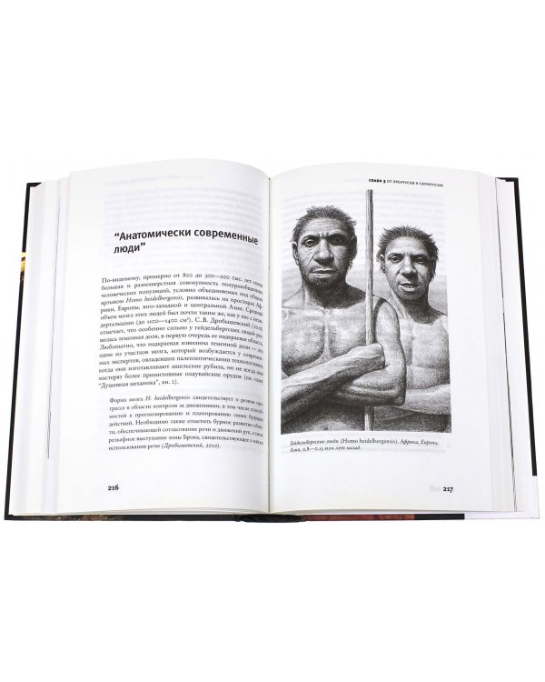 Эволюция человека. В 2 книгах. Книга 1. Обезьяны, кости и гены