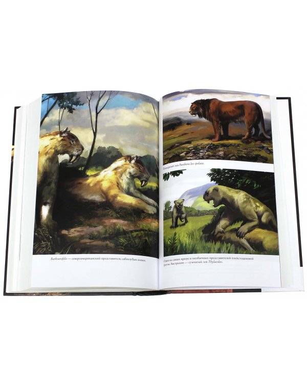 Эволюция человека. В 2 книгах. Книга 1. Обезьяны, кости и гены