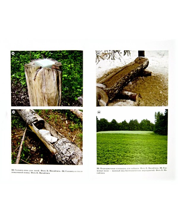 Охотничье дело. Охотоведение, охотничье хозяйств. Учебное пособие