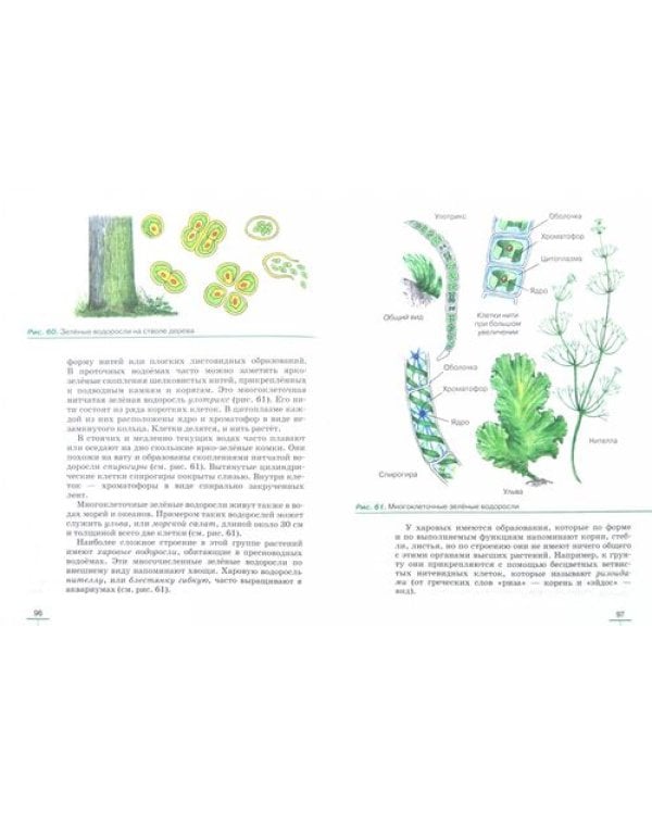 Биология. Бактерии, грибы, растения. 5 класс. Учебное пособие