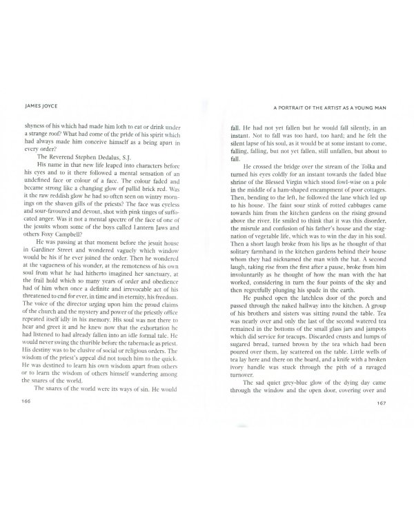 A Portrait of the Artist as a Young Man