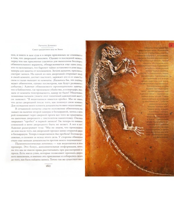 Самое грандиозное шоу на Земле: доказательства эволюции