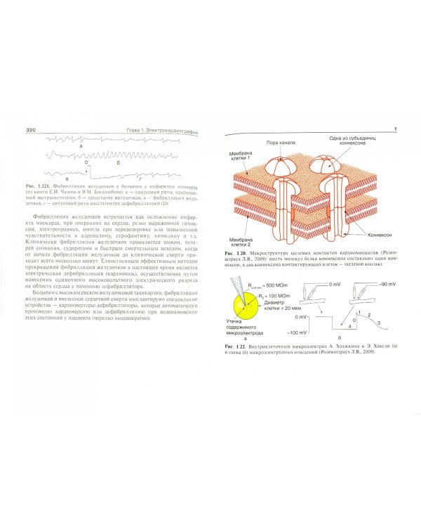 Инструментальные методы исследования сердечно-сосудистой системы. Учебное пособие