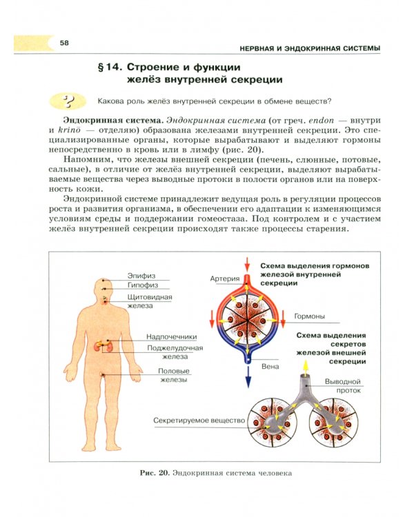 Биология. Человек и его здоровье. 8 класс. Учебник. ФГОС