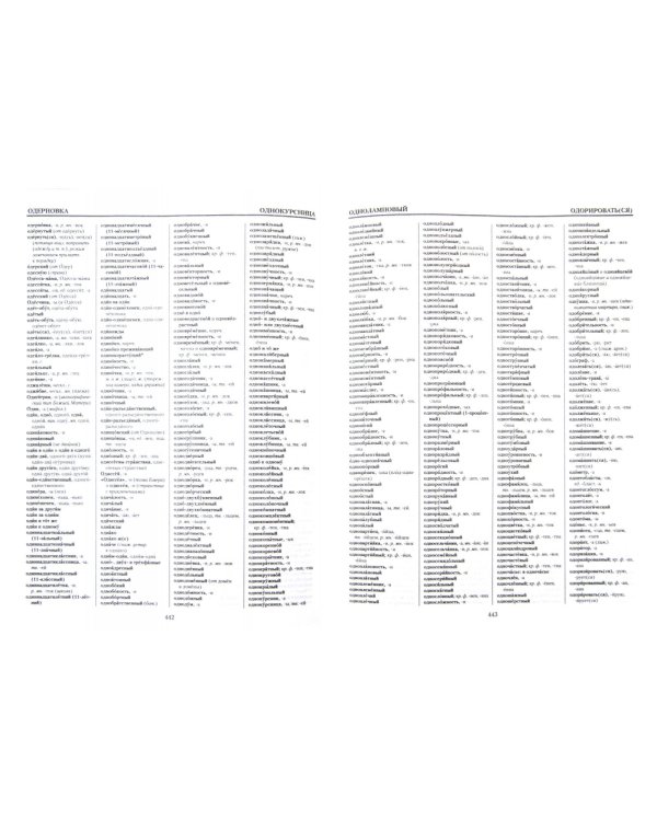 Русский орфографический словарь. 200000 слов