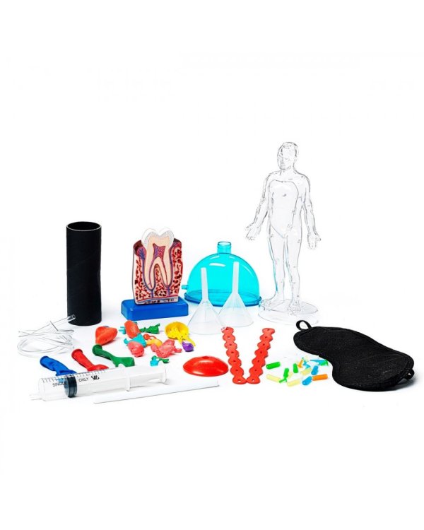 Французские опыты Науки с Буки. Секреты человеческого тела