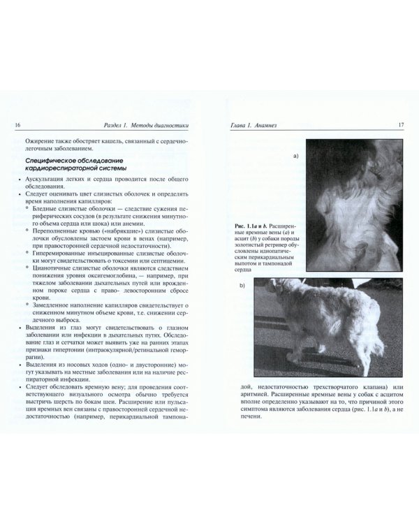 Кардиореспираторные заболевания собак и кошек