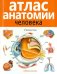 Атлас анатомии человека
