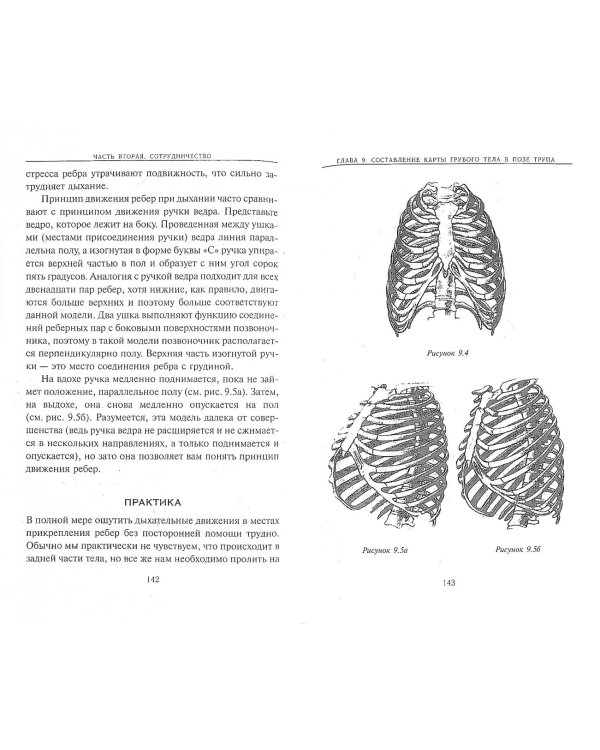 Йога дыхания. Пранаяма